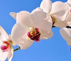 镇江正规助孕捐卵机构，附正规捐卵机构报名表！